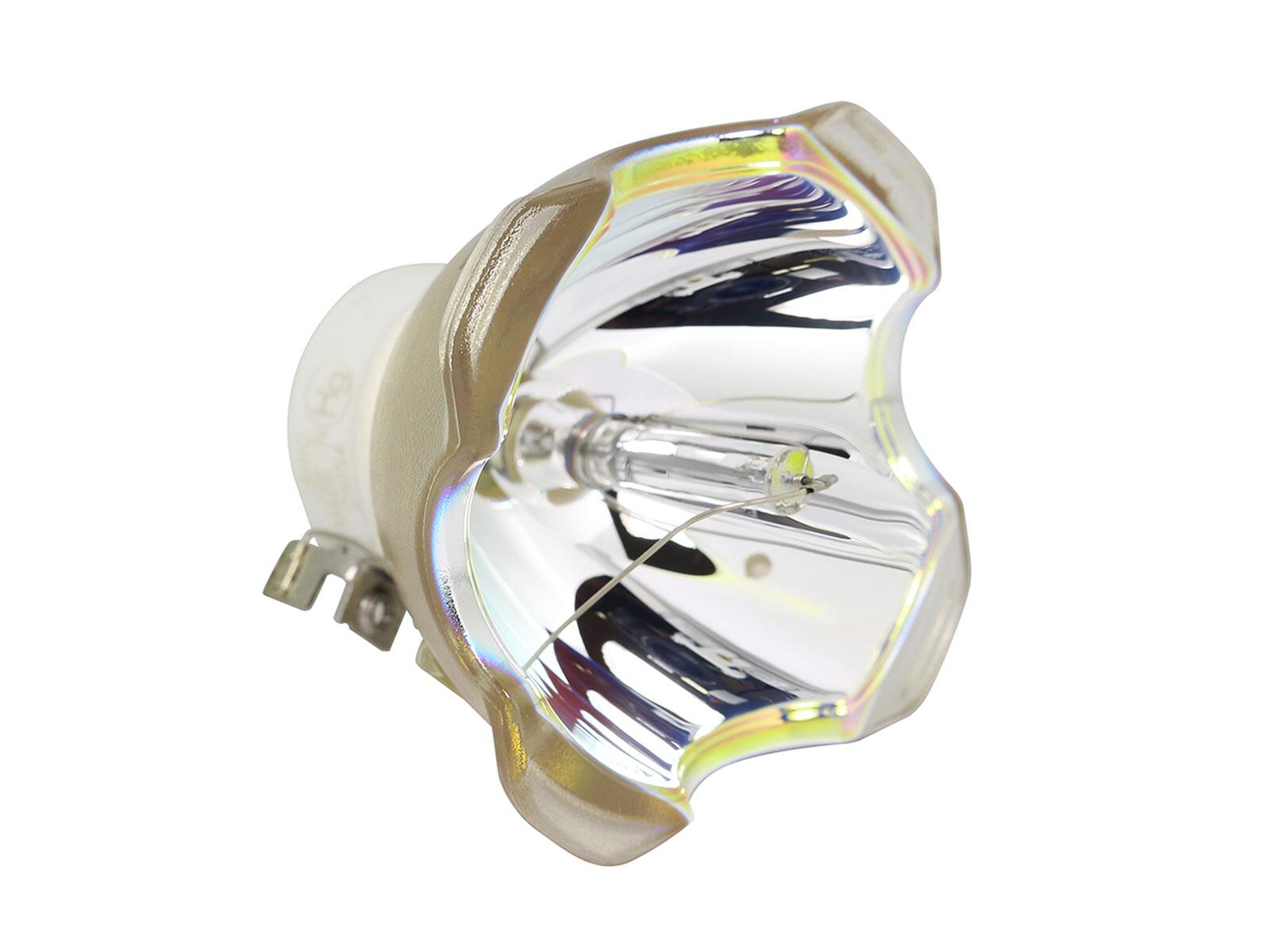 CANON XEED WUX5000  Nackte Ersatzlampe