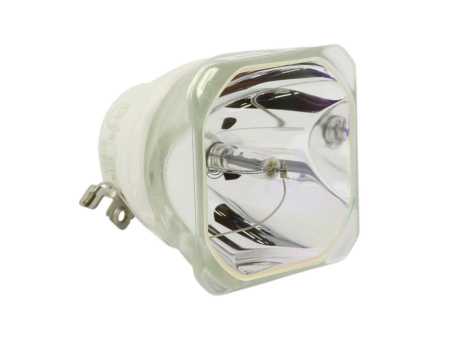 SONY VPL VW500ES  Nackte Ersatzlampe