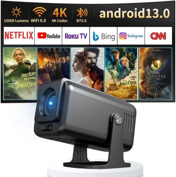 Bild GINCSRI V1